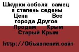 Шкурки соболя (самец) 1-я степень седены › Цена ­ 12 000 - Все города Другое » Продам   . Крым,Старый Крым